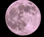 Luna de Flores 2025; ¿cuántos días faltan para verla en México?