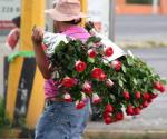 Celebración del Día de las Madres en Miguel Alemán