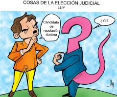 Cosas de la elección judicial