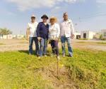Reforestan  áreas verdes  en Misiones