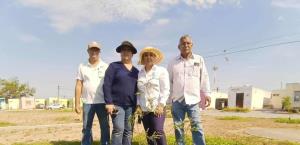 Reforestan  áreas verdes  en Misiones
