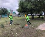 Fuerte viento provoca corte de electricidad