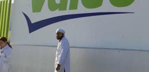 Tienen empresas hasta el  30 para pago de utilidades