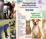 Invitan a campaña de esterilización