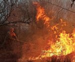 Ejército sofoca 3 incendios forestales en Veracruz