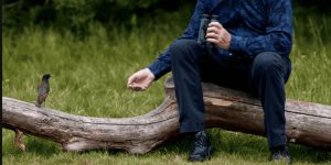 Alegría y placer de observar aves (y leer sobre ellas)