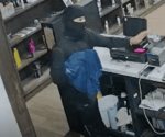 Indagan robo agravado en una tienda de vapeo
