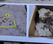 Incineraron a Grupo Fugitivo en una bloquera; 10 detenidos y tres fugitivos