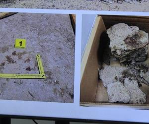 Incineraron a Grupo Fugitivo en una bloquera; 10 detenidos y tres fugitivos
