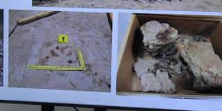 Incineraron a Grupo Fugitivo en una bloquera; 10 detenidos y tres fugitivos