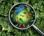Qué alimentos no se pueden comer después de una intoxicación