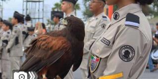 Gradúa V generación de Colegio Militarizado