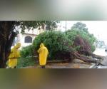 Impacta Barry sin incidentes