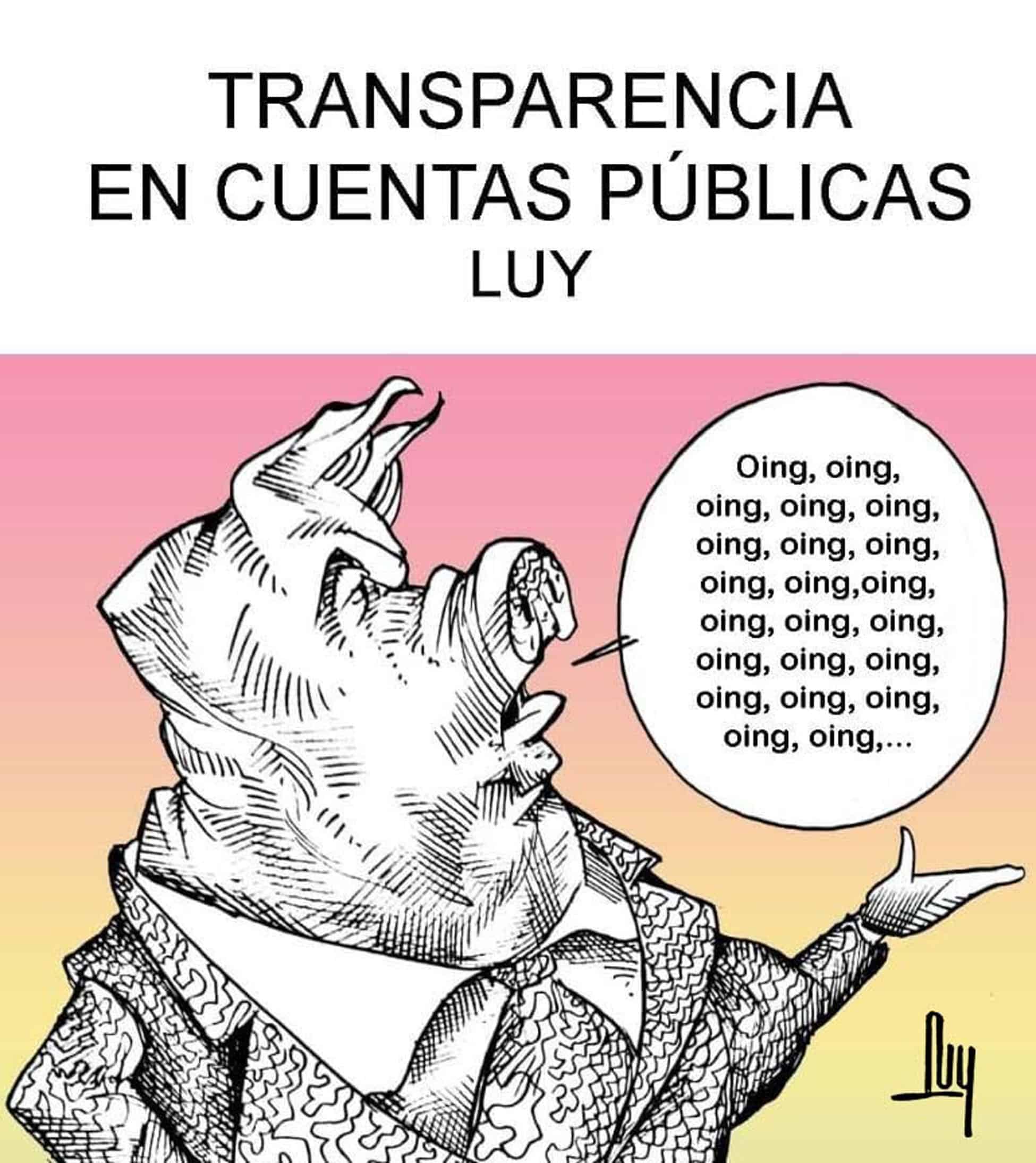 Transparencia en cuentas públicas Transparencia en cuentas públicas