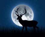Luna de Ciervo: ¿por qué se le llama así al fenómeno astronómico?