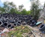 Proliferan sin control los tiraderos de llantas