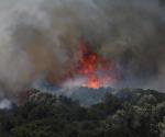 Incendios forestales en Grecia y Turquía dejan dos muertos