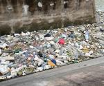 Abundante basura en  compuerta del canal