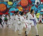 Ya trabajan taekwondoínes