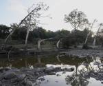 Lluvias intensas en Texas causan caos y tragedia