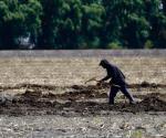 Proyecta EU agilizar visas para el campo