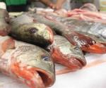 Refuerza la Coepris vigilancia sanitaria por venta de mariscos