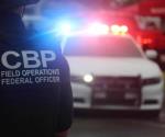 Descubren e incautan 20 loros en la Aduana