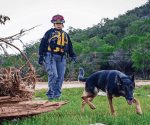 Dos mexicanos más desaparecidos en inundaciones de Texas