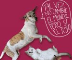 Celebra el Día Internacional del Perro adoptando uno