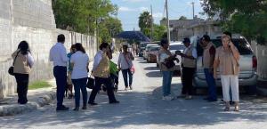 Combate sector Salud una plaga de arañas