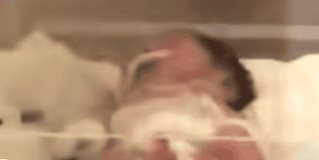 Cierran área del Hospital  Materno Infantil