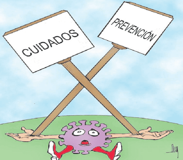 El virus del dengue El virus del dengue