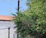 Reportan incendio en un  transformador eléctrico