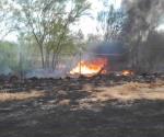 Exhortan a no realizar incendios forestales