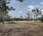 Exigen investigar tala en la ‘Casa de la Naturaleza’