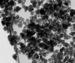 Nuevo enfoque para curar las enfermedades cerebrales