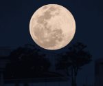 Luna de Esturión 2025: ¿a qué hora ver el fenómeno astronómico?