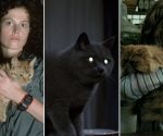Recordando a los felinos más famosos del cine en su día especial