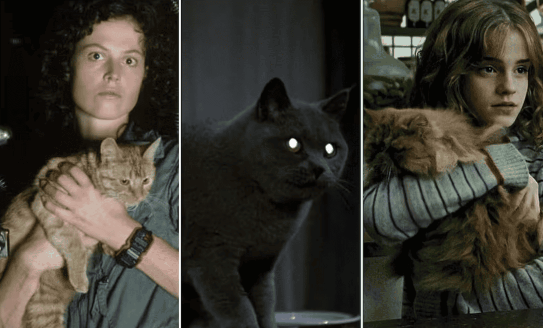 Recordando a los felinos más famosos del cine en su día especial