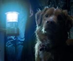 Estrenan tráiler de Good boy, cinta de terror con perro protagonista