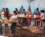 Comienza a repuntar  a captura de camarón