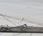 Permanecen sin energía eléctrica