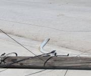 Permanecen sin energía eléctrica