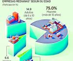 Urgen  fiscalizar Pymes