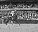 Fallece Ron Turcotte