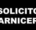 CARNICERIA EMMANUEL SOLICITA 