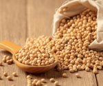 Cuáles son las legumbres que tienen más proteína