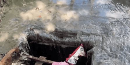 Fuga de aguas negras causa encharcamientos
