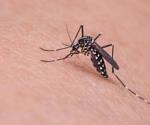 Suma dengue 1,886 casos sospechosos en Madero y Tampico