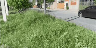 Parque lineal, un peligro para todos